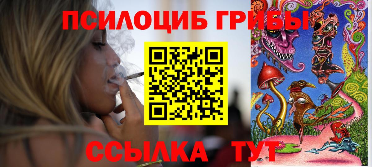 Псилоцибиновые грибы Cubensis  Вход с VPN  Грязи 