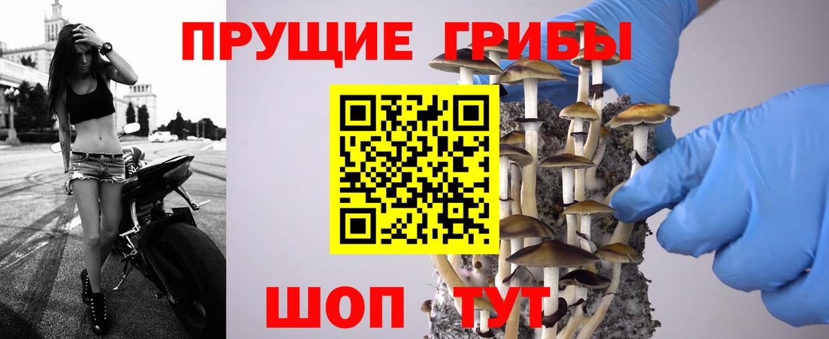 Галлюциногенные грибы Magic Shrooms  Галлюциногенные грибы GOLDEN TEACHER  Грязи 