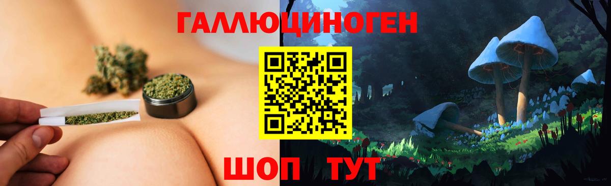 Галлюциногенные грибы MAGIC MUSHROOMS Грязи